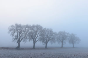Winter landscape with hoarfrost, Wagenschwend, Odenwald, Baden-Wurttemberg, Germany Winter landscape with hoarfrost, Wagenschwend, Odenwald, Baden-Wurttemberg, Germany
